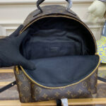 Louis Vuitton Palm Springs MM M44874 Brown